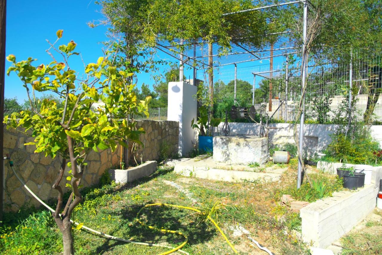 Willa Georgia'S House Aegina Zewnętrze zdjęcie